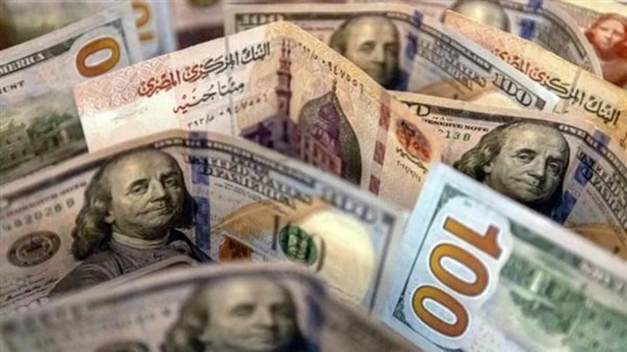 الجنيه يواصل تعافيه أمام الدولار في ختام تعاملات اليوم الخميس بالبنوك المصرية